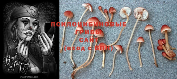 бутират Алексеевка