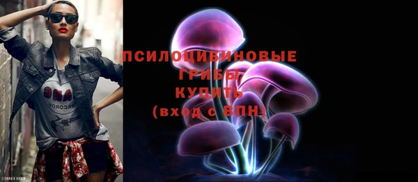 ГАЛЛЮЦИНОГЕННЫЕ ГРИБЫ Алексин