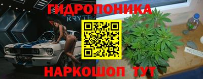 бошки Славгород