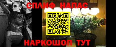 бошки Славгород