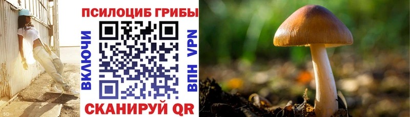 Галлюциногенные грибы мухоморы  кракен рабочий сайт  Санкт-Петербург  купить  