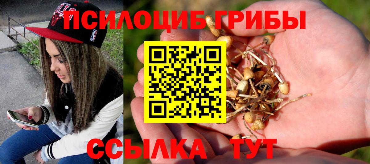 Псилоцибиновые грибы MAGIC MUSHROOMS Санкт-Петербург