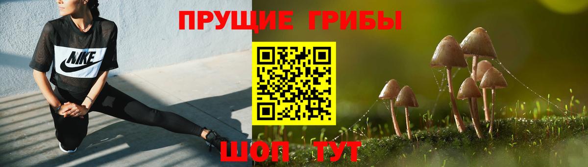 Санкт-Петербург  Псилоцибиновые грибы Cubensis  Вход с VPN 